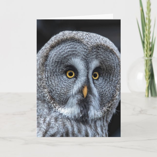 SNOW OWL Fotografy BIRTHDAY Grußkarten Karte (Vorderseite)