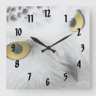 Snow Owl Quadratische Wanduhr