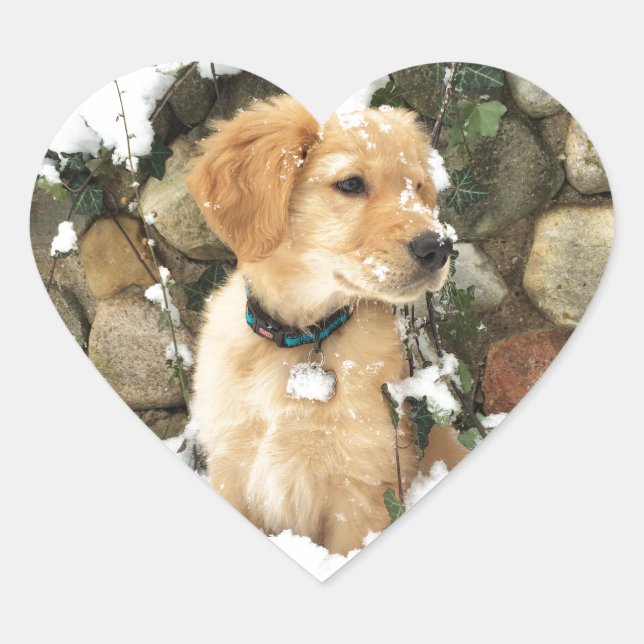 Snow Puppy Herz-Aufkleber (Vorderseite)