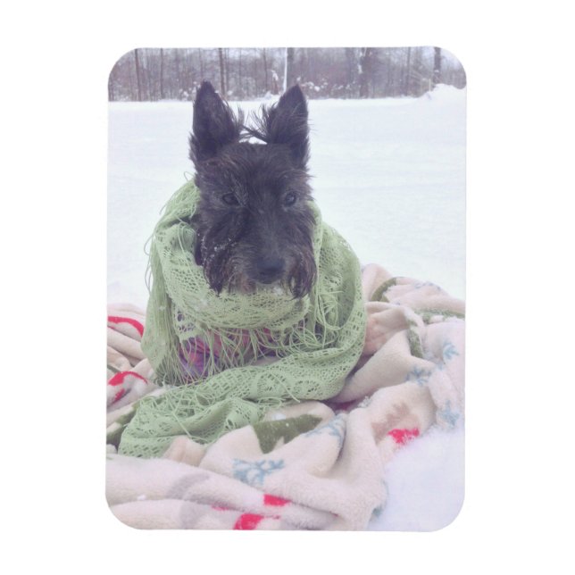 Snow Scottie Magnet (Vertikal)