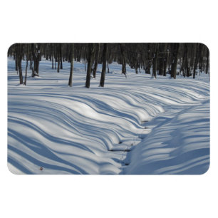 Snow Shadows Magnet