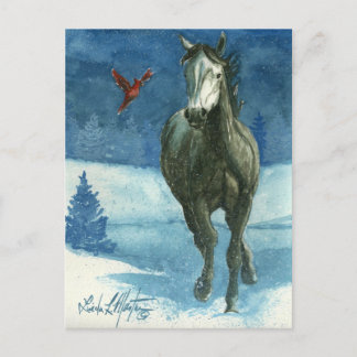 Snow Tag Wild Pferde Post Card Postkarte
