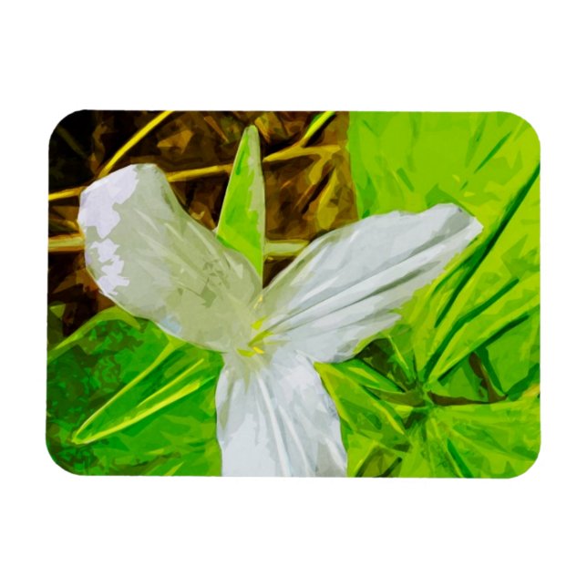 Snow Trillium eine weiße Wildblume Abstrakt Magnet (Horizontal)