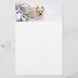 Snow Westie Chien Photo Papier de papeterie