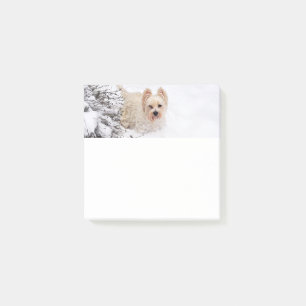 Snow Westie Dog Foto Stationery 3x3 Postit Notes Post-it Klebezettel