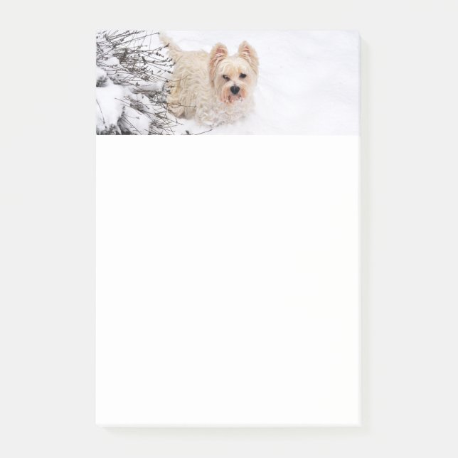 Snow Westie Dog Foto Stationery 4x6 Nachhinweise Post-it Klebezettel (Vorderseite)