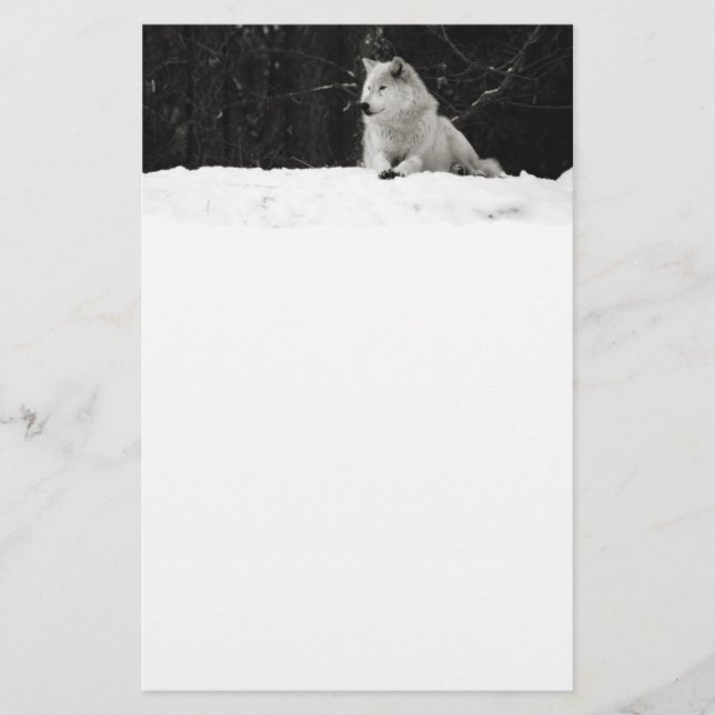 Snow Wolf (Vorderseite)