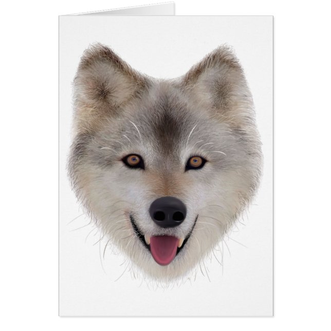 Snow Wolf Sketch (Vorne)