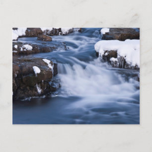 Snow World #3 Postkarte