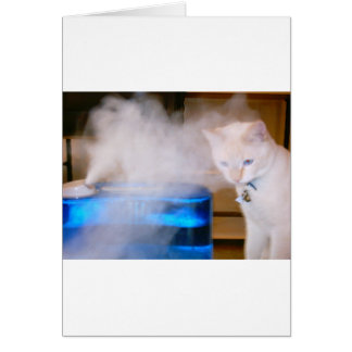 "Snowball dans la brume "