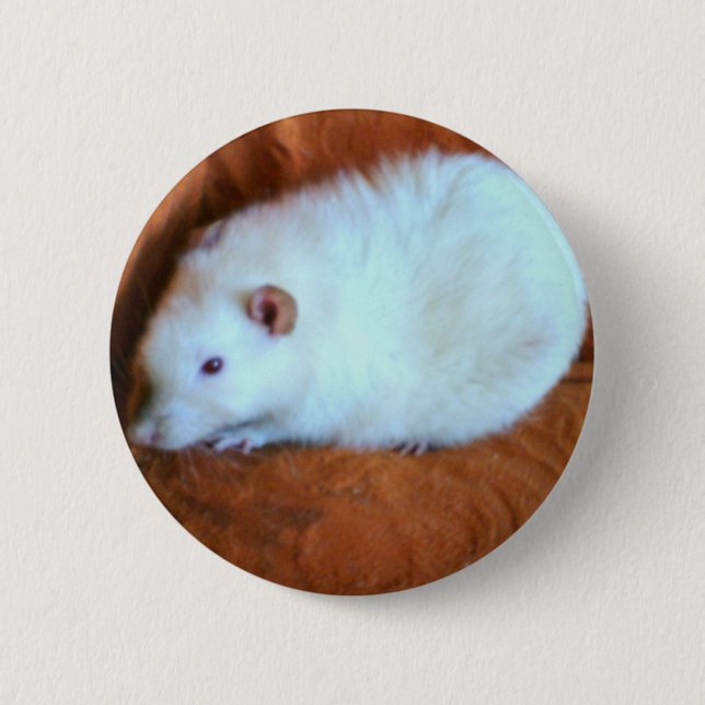 Snowball White Rat Button (Vorderseite)