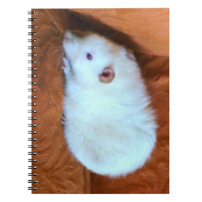 Snowball White Rat Notebook Notizblock (Vorderseite)