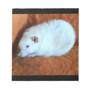 Snowball White Rat Notepad Notizblock