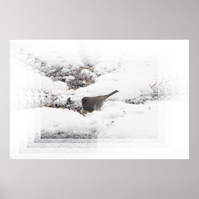 Snowbird 01 poster (Vorne)