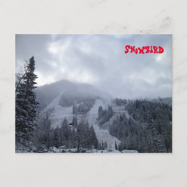 Snowbird Postkarte (Vorderseite)