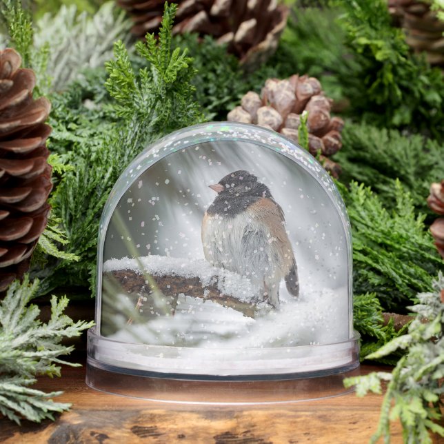 Snowbird Snow Globe Schneekugeln (Winter)