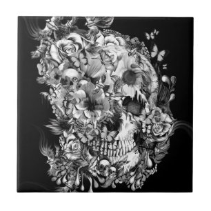 Snowbirds, Schädel hergestellt von den Vögeln un Fliese