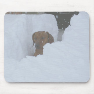 Snowbound Mousepad