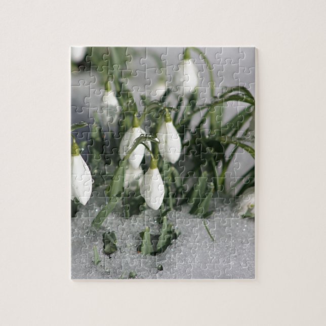 Snowdrop (Vertikal)