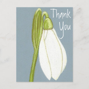 Snowdrop Blume Danke Postcard Postkarte