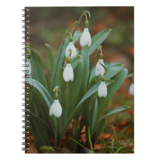 Snowdrop Blume Spiral Foto Notebook Notizblock