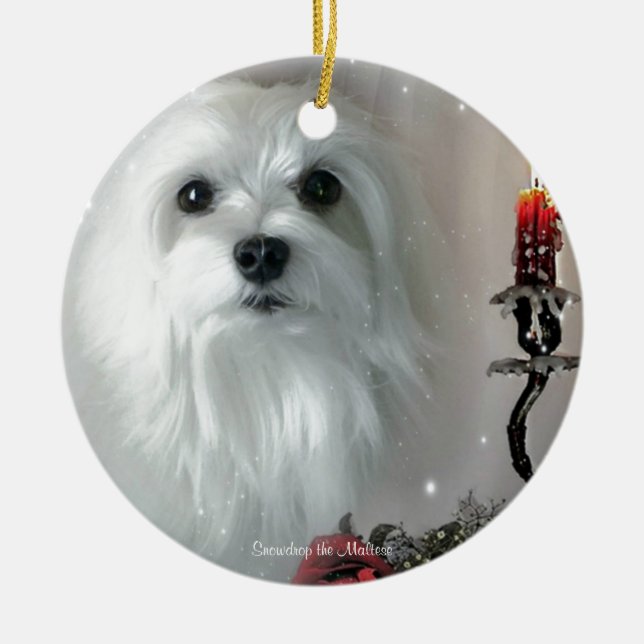 Snowdrop das maltesische keramikornament (Vorne)
