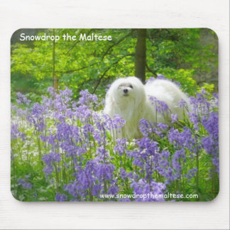 Snowdrop das maltesische mousepad