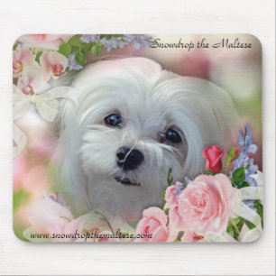 Snowdrop die maltesische Mausunterlage Mousepad