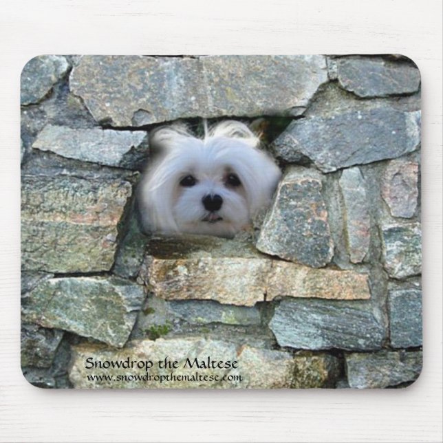 Snowdrop die maltesische Mausunterlage Mousepad (Vorne)