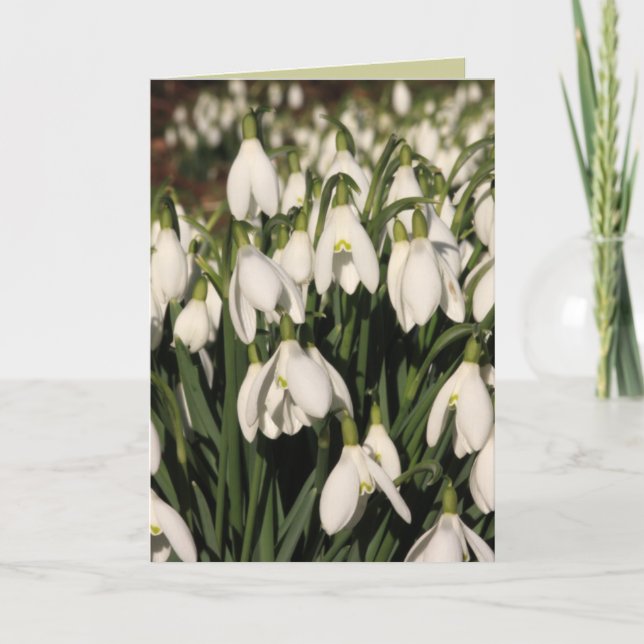 Snowdrop Karte (Vorderseite)