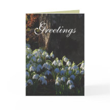 Snowdrop Karte
