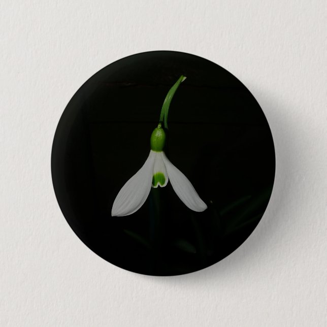 Snowdrop Knopf Button (Vorderseite)