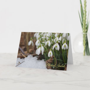 Snowdrop Selig Imbolc Pagan Wiccan Gruß Feiertagskarte