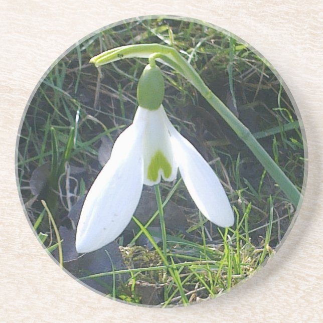 Snowdrop Untersetzer (Vorne)