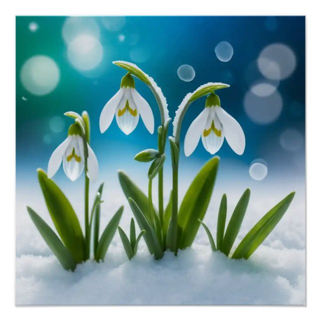 Snowdrops #2 Wall Art Poster (Vorderseite)