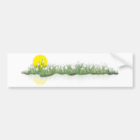 snowdrops