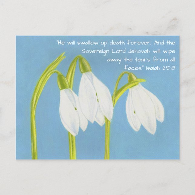 SnowDrops-Blume Postkarte (Vorderseite)