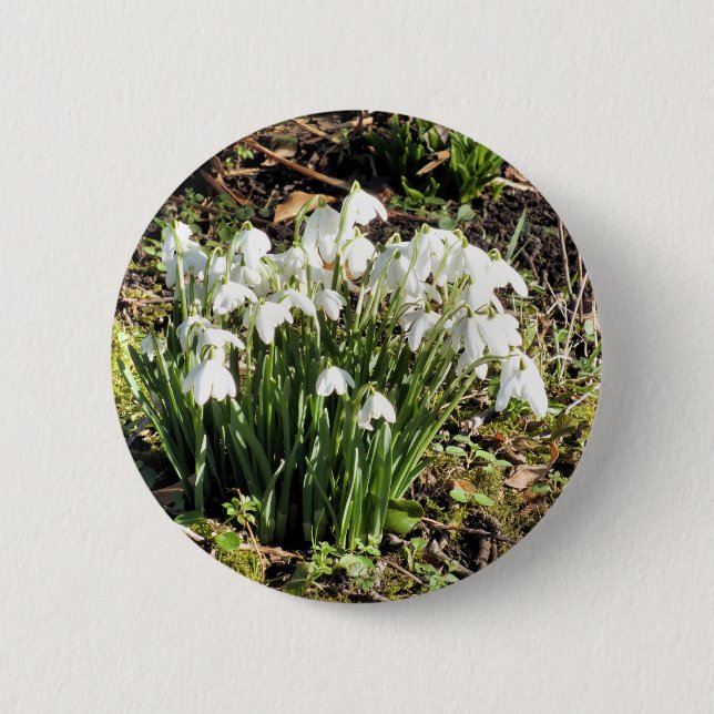SNOWDROPS BUTTON (Vorderseite)