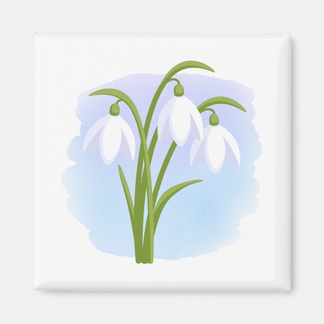 Snowdrops - Frühlingsblumen auf Wasserfarbe Blau Magnet (Vorne)