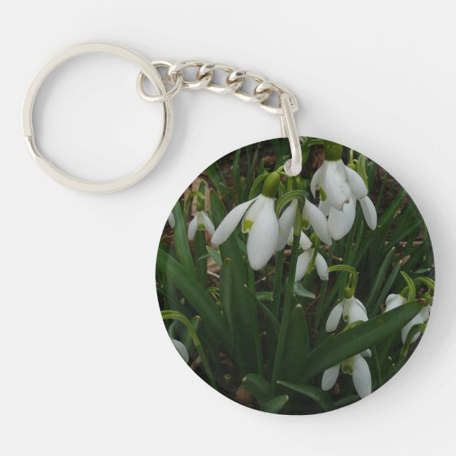 Snowdrops I (Devant)