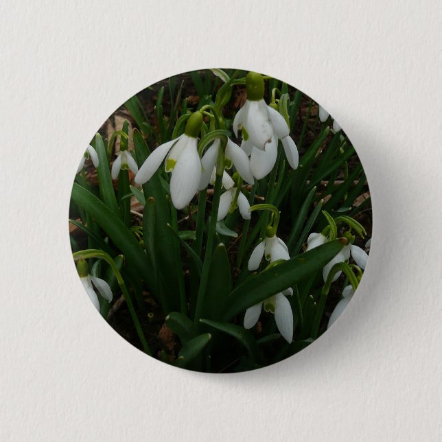 Snowdrops I (Galanthus) Weiße Frühlingsblumen Button (Vorderseite)