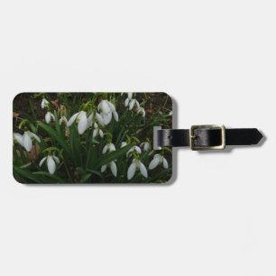 Snowdrops I (Galanthus) Weiße Frühlingsblumen Gepäckanhänger