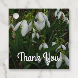 Snowdrops I (Galanthus) Weiße Frühlingsblumen Geschenkanhänger