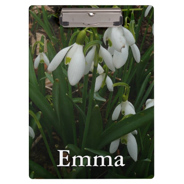 Snowdrops I (Galanthus) Weiße Frühlingsblumen Klemmbrett (Vorderseite)