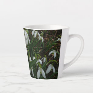 Snowdrops I (Galanthus) Weiße Frühlingsblumen Milchtasse