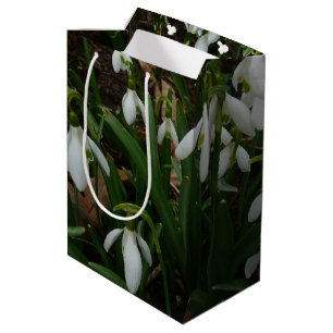 Snowdrops I (Galanthus) Weiße Frühlingsblumen Mittlere Geschenktüte