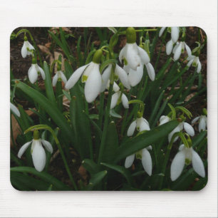 Snowdrops I (Galanthus) Weiße Frühlingsblumen Mousepad