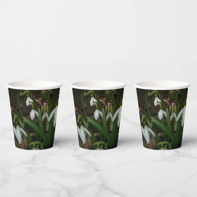 Snowdrops I (Galanthus) Weiße Frühlingsblumen Pappbecher (Multi)
