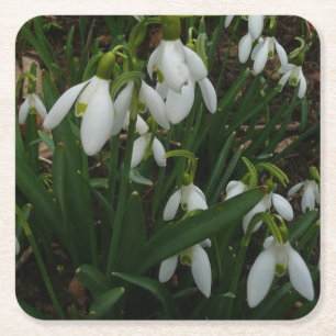 Snowdrops I (Galanthus) Weiße Frühlingsblumen Rechteckiger Pappuntersetzer