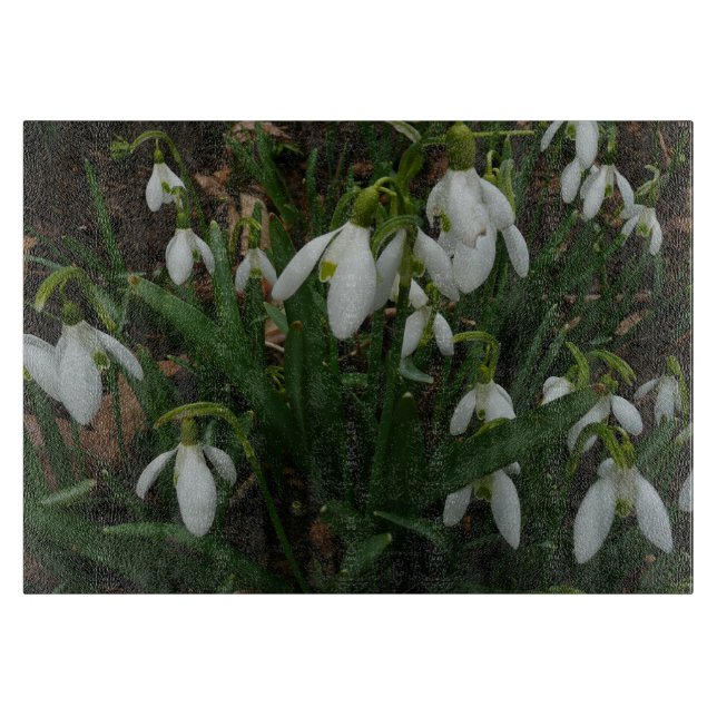 Snowdrops I (Galanthus) Weiße Frühlingsblumen Schneidebrett (Vorderseite)